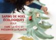 sapins noel ecologiques