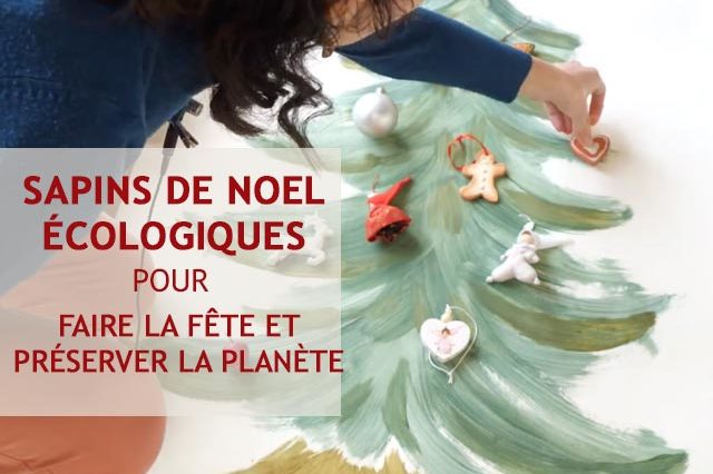 sapins noel ecologiques