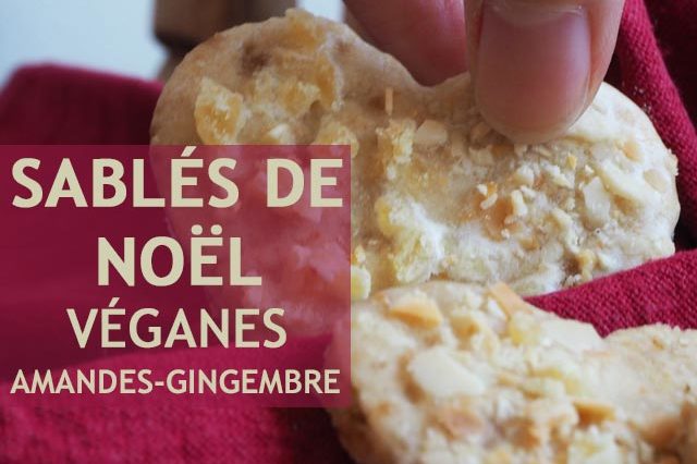 sables noel vegan