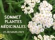 plantes médicinales