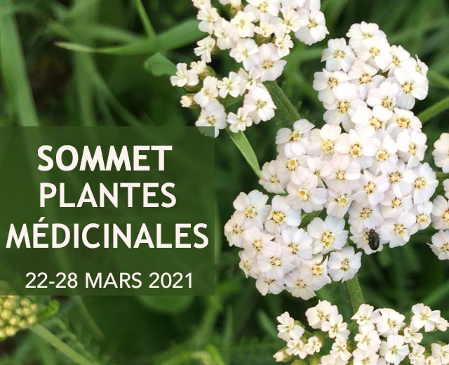 plantes médicinales