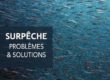 Surpeche-poissons-extinction