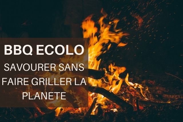barbecue-bbq-ecolo